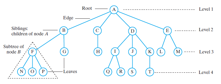 Tree terminology2.png