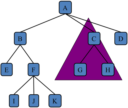 Tree terminology1.png