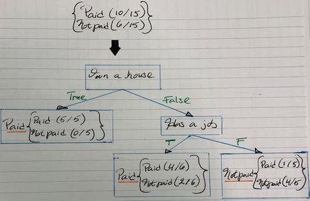 Decision tree ex1.jpeg